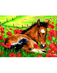 Canevas : 40x50 cm, Le poulain -