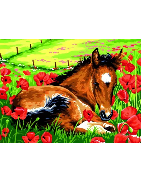 Canevas : 40x50 cm, Le poulain -