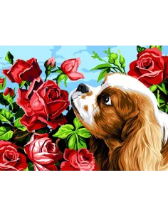 Canevas : 40x50 cm, King Charles et les roses