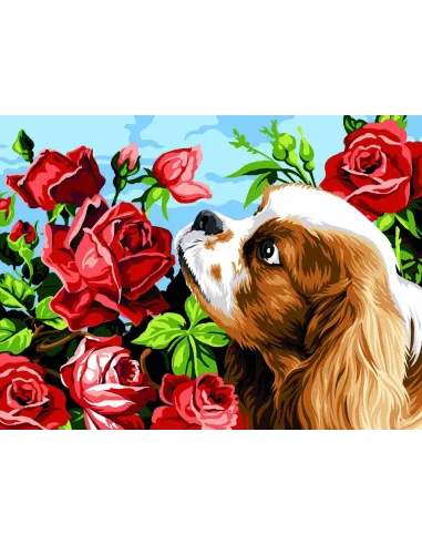 Canevas : 40x50 cm, King Charles et les roses