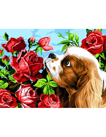 Canevas : 40x50 cm, King Charles et les roses