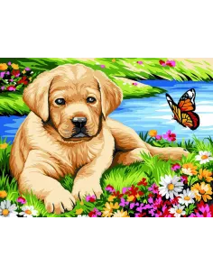 Canevas : 40x50 cm, Petit labrador
