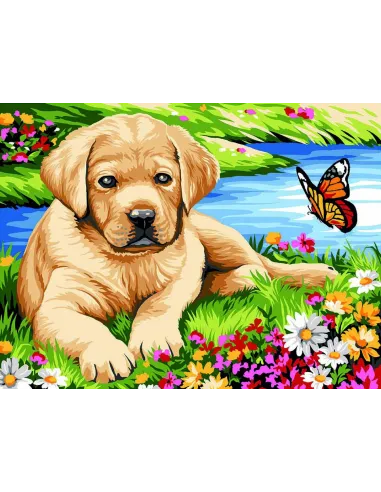 Canevas : 40x50 cm, Petit labrador