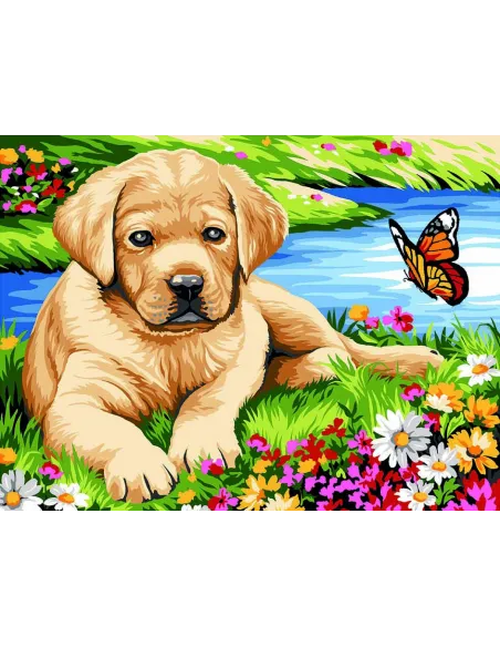 Canevas : 40x50 cm, Petit labrador