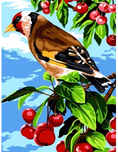 Canevas : 40x50 cm, Plume d'été