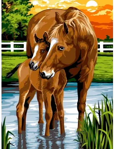Canevas : 40x50 cm, N18 - les sabots dans l'eau
