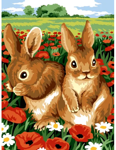 Canevas : 40x50 cm, N20 - colle serre