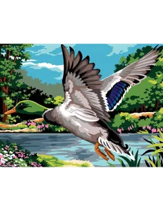 Canevas : 40x50 cm, N23 - battement d'ailes