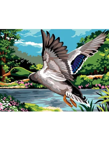 Canevas : 40x50 cm, N23 - battement d'ailes