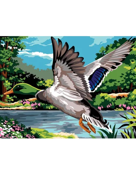 Canevas : 40x50 cm, N23 - battement d'ailes