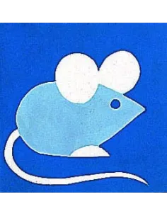 Kit canevas : 20x20 cm, Souris