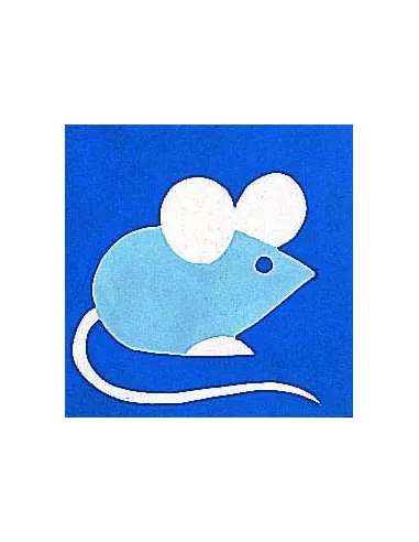 Kit canevas : 20x20 cm, Souris