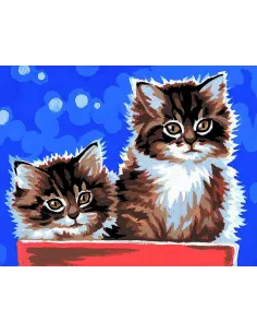 Kit canevas : 20x25 cm, Chatons