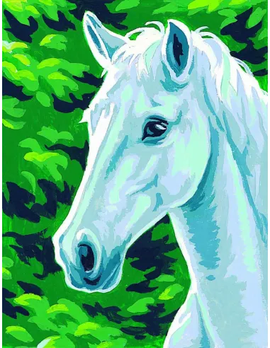 Kit canevas : 20x25 cm, Cheval blanc