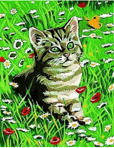 Kit canevas : 20x25 cm, blanc : Chaton 20x25