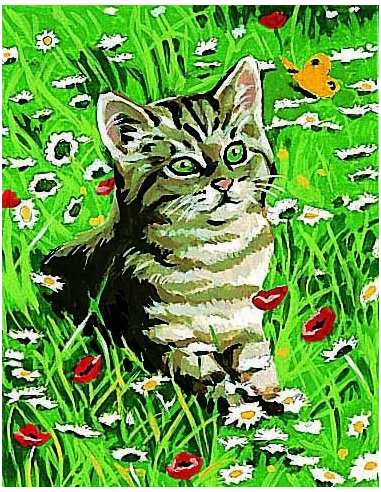 Kit canevas : 20x25 cm, blanc : Chaton 20x25