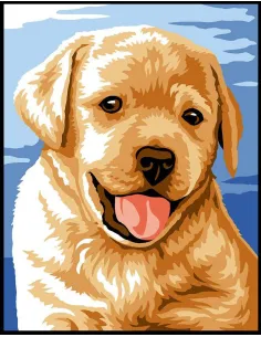 Kit canevas : 20x25 cm, blanc : Chiot