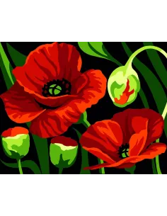 Kit canevas : 20x25 cm, blanc : Coquelicots