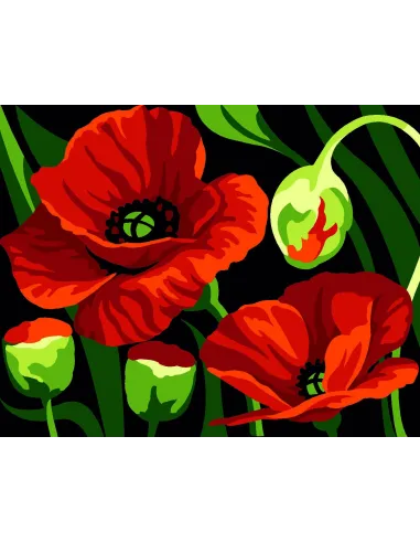 Kit canevas : 20x25 cm, blanc : Coquelicots