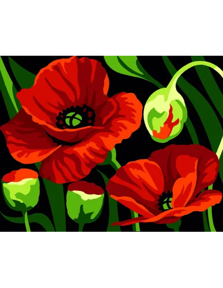 Kit canevas : 20x25 cm, blanc : Coquelicots
