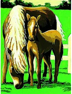 Kit canevas : 20x25 cm, Chevaux
