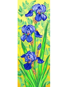 Canevas : 25x60 cm, Les iris mauves
