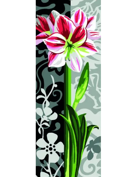 Canevas : 25x60 cm, Amaryllis