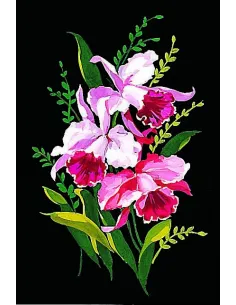 Canevas : 30x40 cm, Orchidées