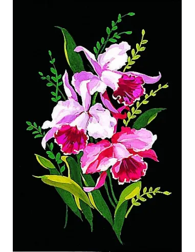 Canevas : 30x40 cm, Orchidées