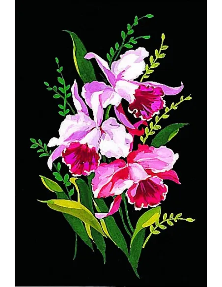 Canevas : 30x40 cm, Orchidées