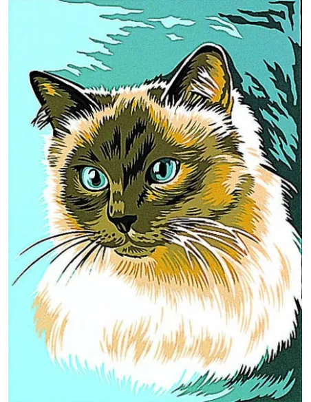 Canevas : 30x40 cm, Le siamois