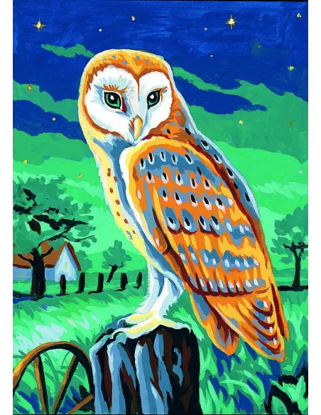 Canevas : 30x40 cm, La chouette