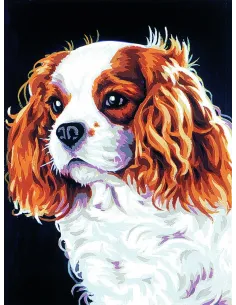 Canevas : 30x40 cm, Le cavalier kink charl
