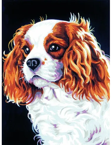 Canevas : 30x40 cm, Le cavalier kink charl