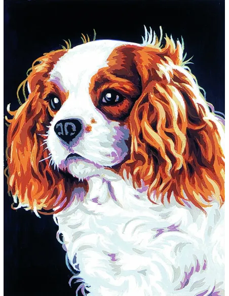 Canevas : 30x40 cm, Le cavalier kink charl