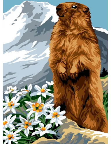 Canevas : 30x40 cm, N18 la marmotte