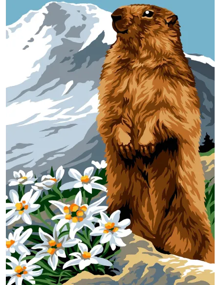 Canevas : 30x40 cm, N18 la marmotte