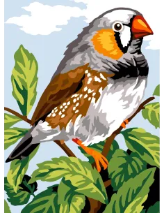 Canevas : 30x40 cm, N22 - diamant mandarin