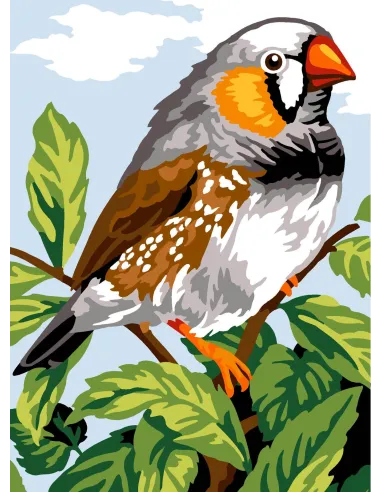 Canevas : 30x40 cm, N22 - diamant mandarin