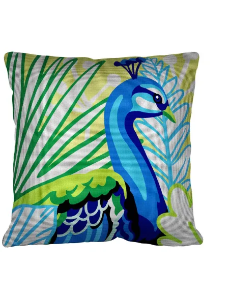 Kit coussin : 50x50 :N21 - paon