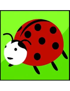Kit canevas : 20x20 : coccinelle