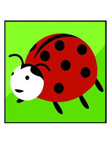 Kit canevas : 20x20 : coccinelle