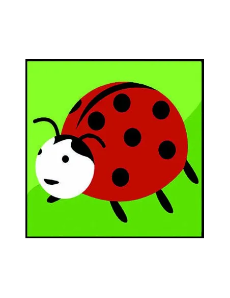 Kit canevas : 20x20 : coccinelle
