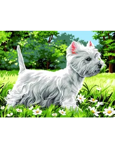 Canevas : 40x50 cm, Westie