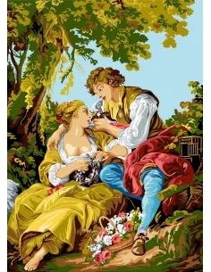 Canevas : 45x60 cm, La cage d'après François boucher
