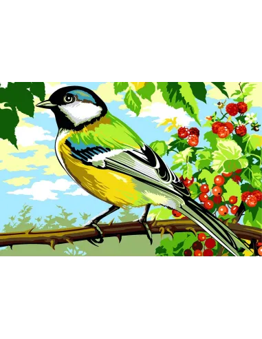 Canevas : 30x40 cm, mésange