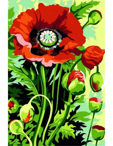 Canevas : 30x40 cm, coquelicot