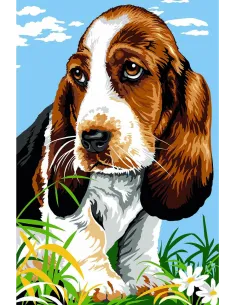 Canevas : 30x40 cm, basset