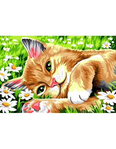 Canevas : 30x40 cm, couche dans l'herbe