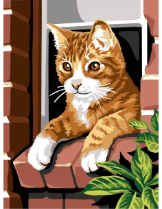 Canevas : 40x50 cm, Chat roux | Zéphyr Tissus